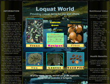 Tablet Screenshot of loquatworld.com